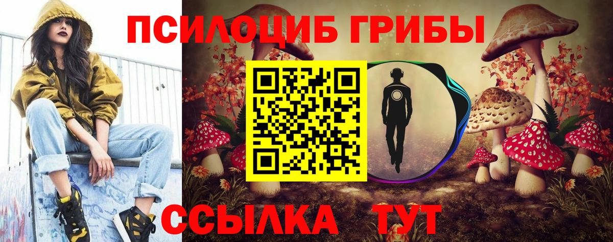 Псилоцибиновые грибы прущие грибы Ртищево