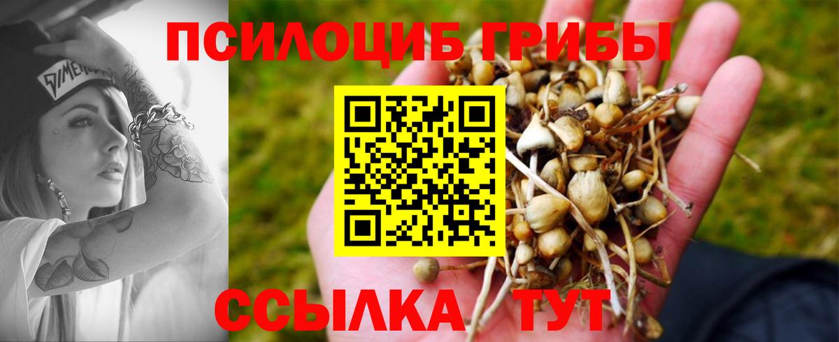 Галлюциногенные грибы MAGIC MUSHROOMS  Вход с VPN  Галлюциногенные грибы Cubensis  даркнет сайт  Ртищево 